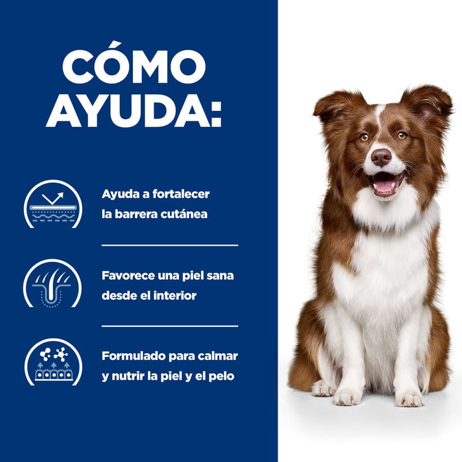 12 kg Hill's Prescription Diet Derm Defense Pollo pienso para perros, , large Imagen numero 4